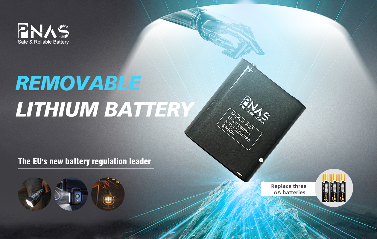 USB charging port battery